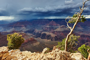USA Grand Canyon<br>NIKON D4, 24 mm, 320 ISO,  1/200 sec,  f : 8 , Distance :  m